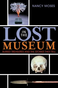 Lost in the Museum_cover