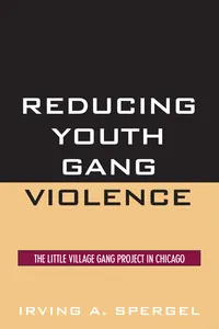 Reducing Youth Gang Violence_cover