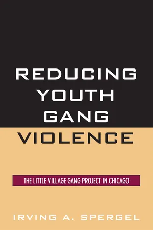 Reducing Youth Gang Violence