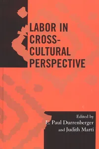 Labor in Cross-Cultural Perspective_cover