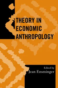 Theory in Economic Anthropology_cover