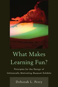 What Makes Learning Fun?_cover