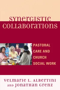 Synergistic Collaborations_cover