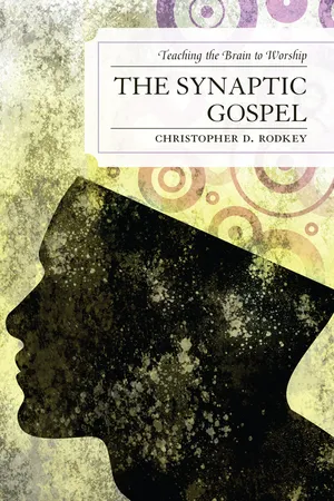The Synaptic Gospel