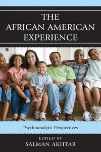 The African American Experience_cover