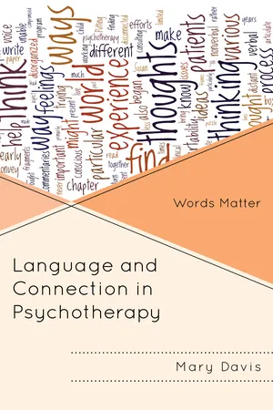 Language and Connection in Psychotherapy