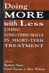 Doing More With Less_cover