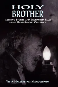 Holy Brother_cover