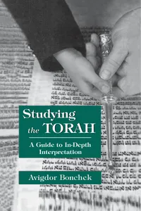 Studying the Torah_cover