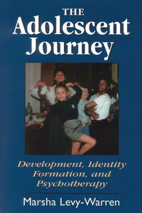 The Adolescent Journey_cover