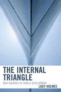 The Internal Triangle_cover