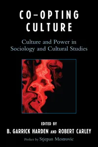 Co-opting Culture_cover