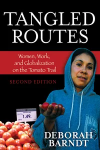 Tangled Routes_cover
