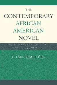 The Contemporary African American Novel_cover