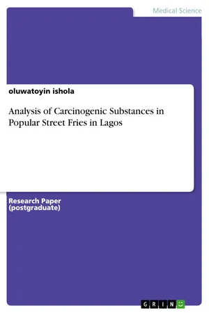 Analysis of Carcinogenic Substances in Popular Street Fries in Lagos