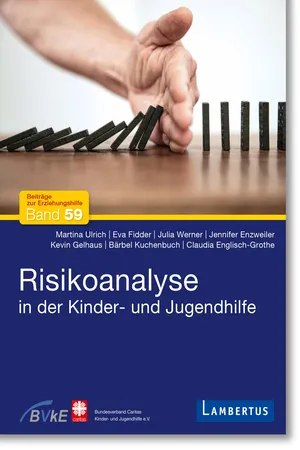Risikoanalyse in der Kinder- und Jugendhilfe