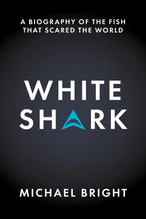 White Shark