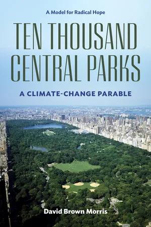 Ten Thousand Central Parks