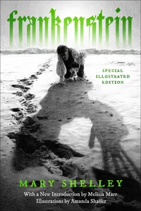 Frankenstein_cover