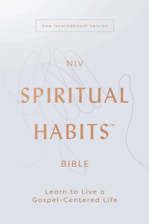 NIV, Spiritual Habits Bible