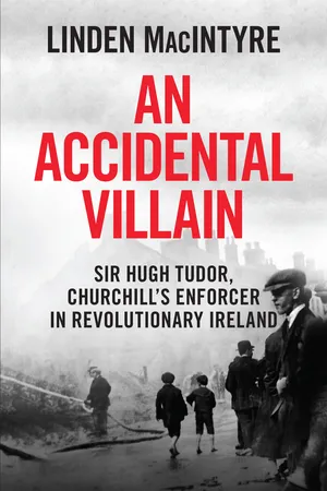 An Accidental Villain