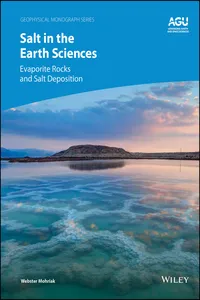 Salt in the Earth Sciences_cover