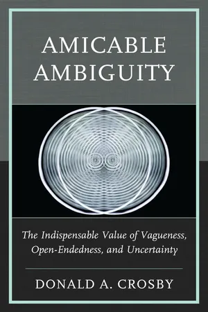 Amicable Ambiguity