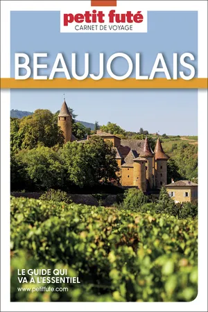Guide Beaujolais 2025 Carnet Petit Futé