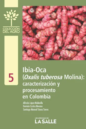 Ibia-Oca (Oxalis tuberosa Molina)