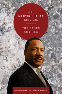 The Other America_cover