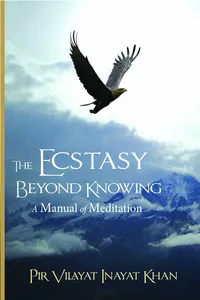 The Ecstasy Beyond Knowing_cover