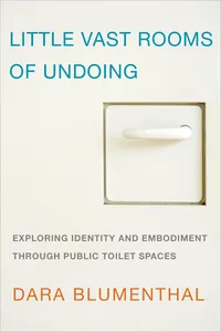 Little Vast Rooms of Undoing_cover