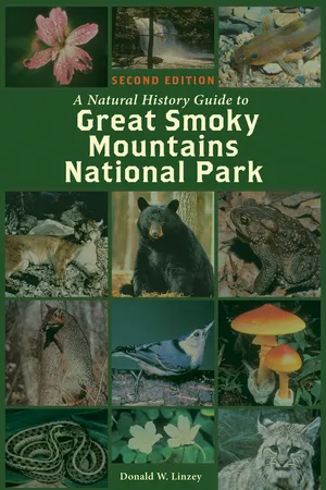 Natural History Guide to Great Smoky Mountains National Park