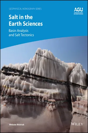 Salt in the Earth Sciences