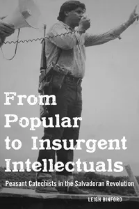 From Popular to Insurgent Intellectuals_cover