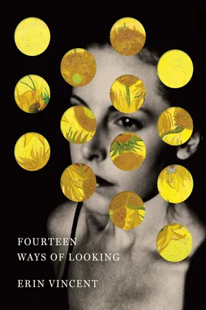 Fourteen Ways of Looking