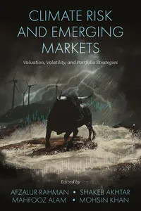 Climate Risk and Emerging Markets_cover