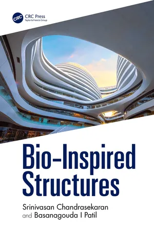 Bio-Inspired Structures