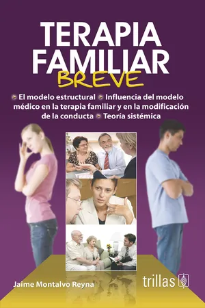 Terapia familiar breve