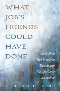 What Job’s Friends Could Have Done_cover