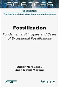 Fossilization_cover