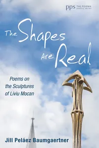 The Shapes Are Real_cover