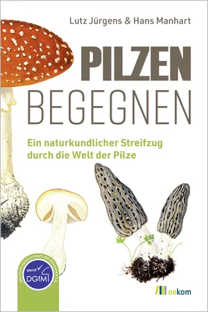 Pilzen begegnen