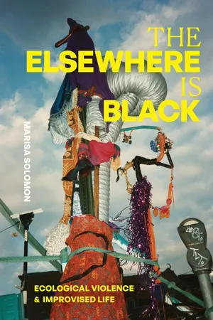 The Elsewhere Is Black