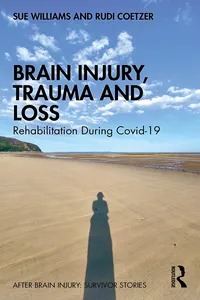 Brain Injury, Trauma and Loss_cover