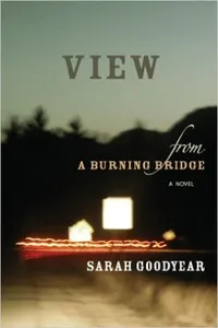 VIEW FROM A BURNING BRIDGE_cover
