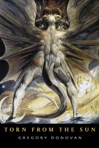 Torn from the Sun_cover