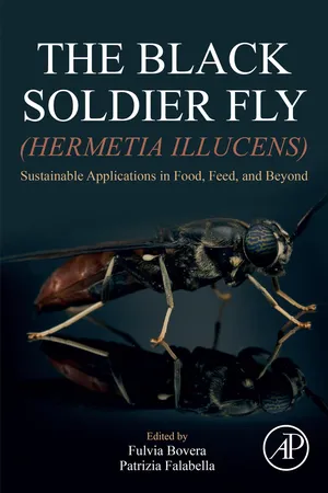 The Black Soldier Fly (Hermetia illucens)