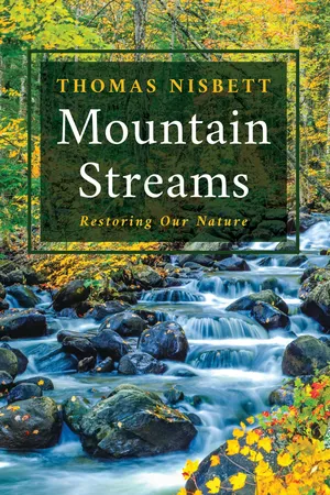 Mountain Streams