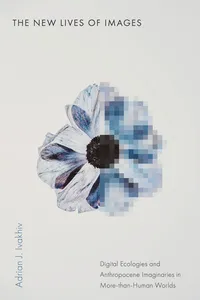 The New Lives of Images_cover